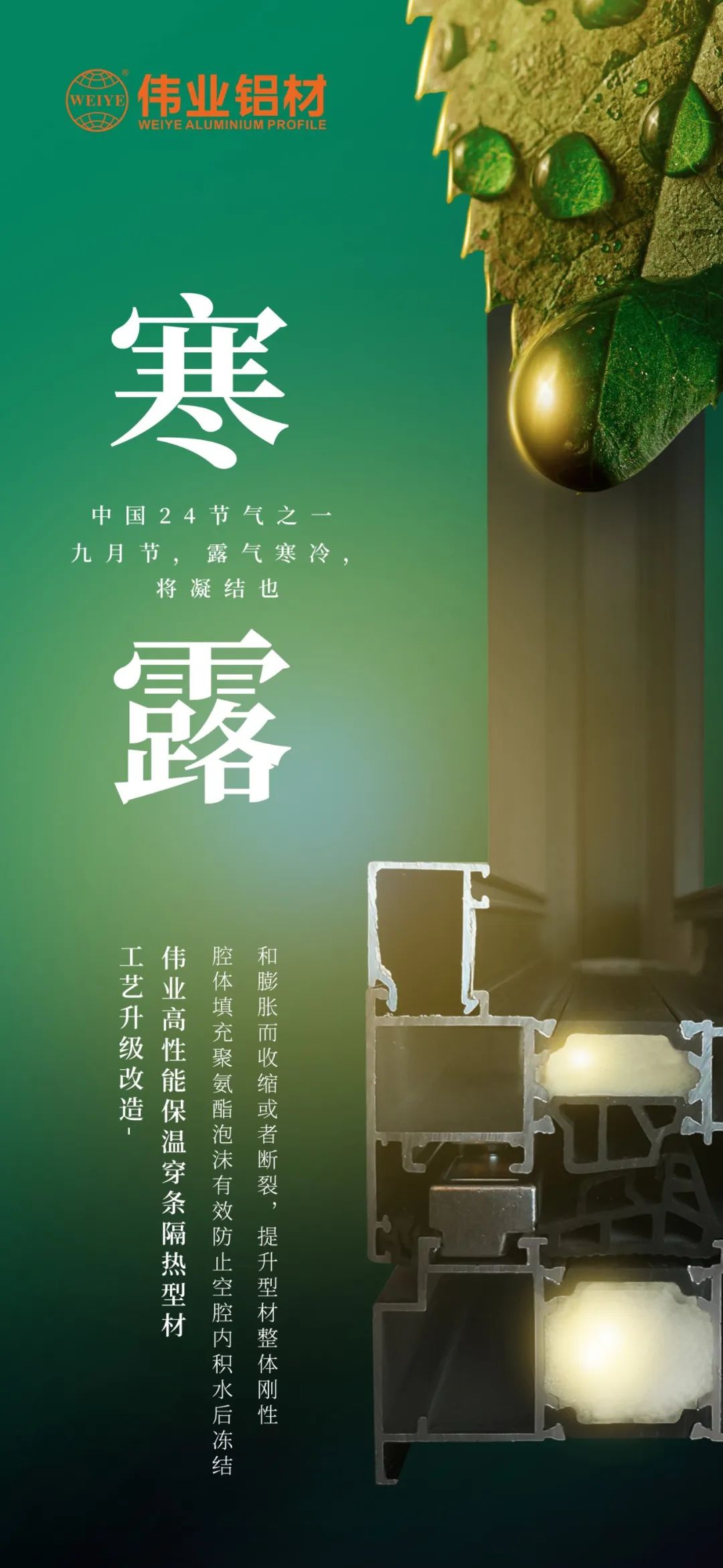 #寒露 九月节，露气寒冷，将凝结也 时光入深秋，岁月便深情