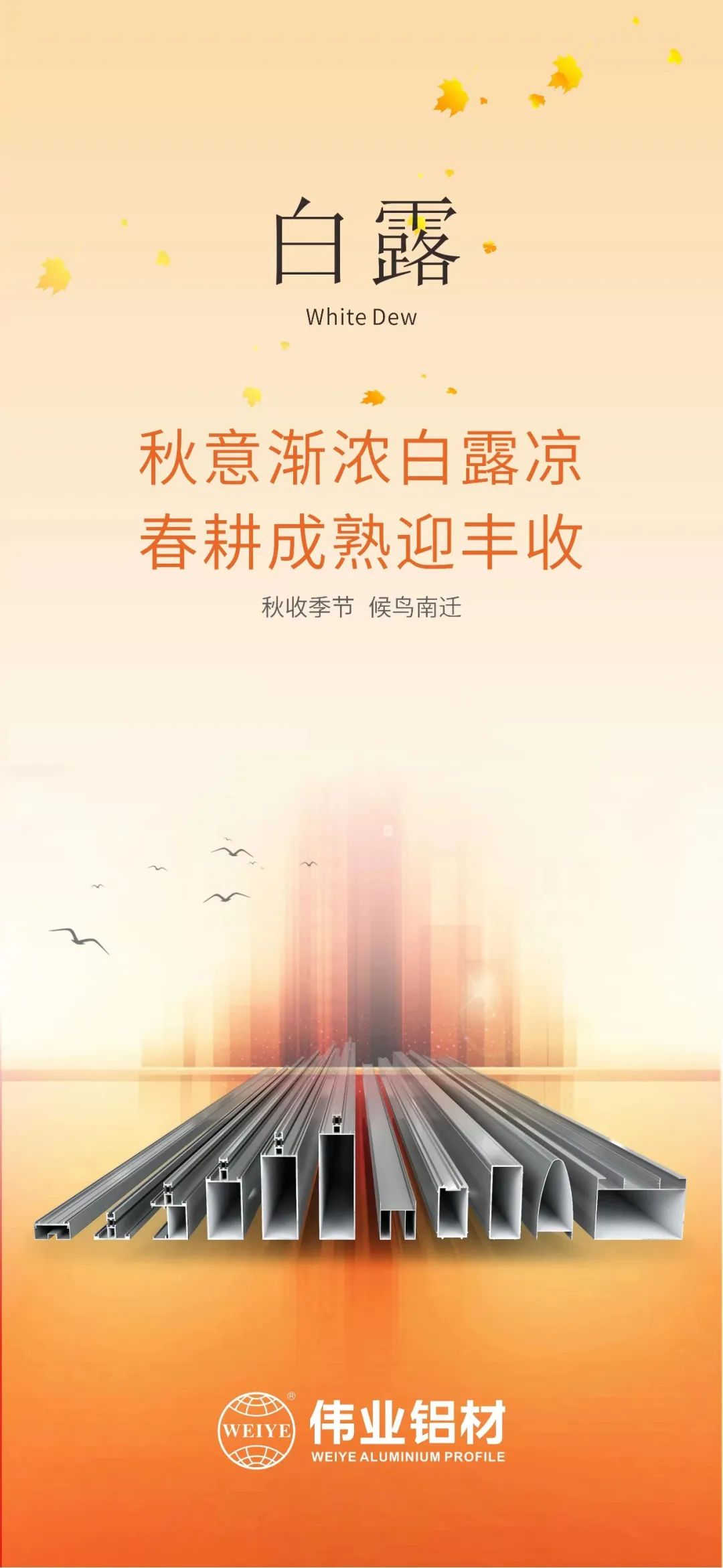 #今日白露 秋意渐浓白露凉 春耕成熟long8唯一收